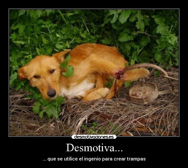 Desmotiva... -