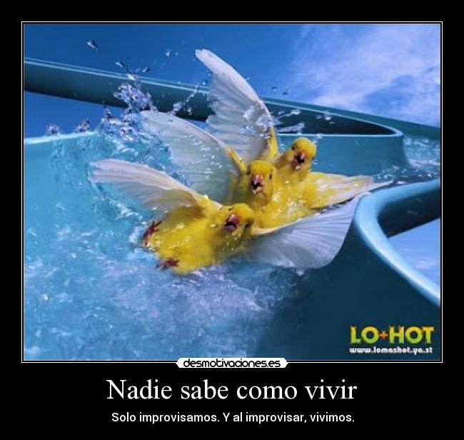 Nadie sabe como vivir - 