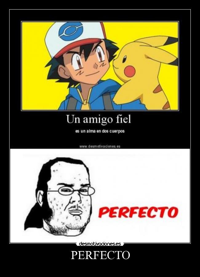 PERFECTO - 