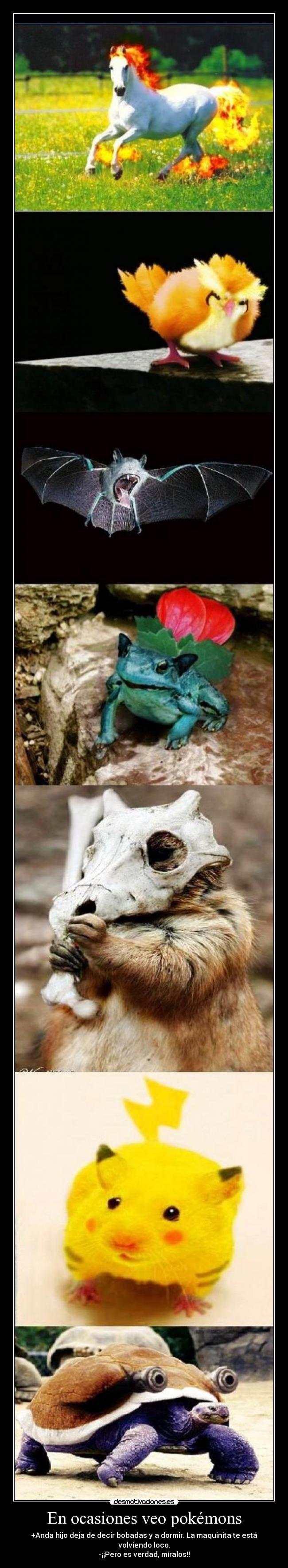 En ocasiones veo pokémons - +Anda hijo deja de decir bobadas y a dormir. La maquinita te está volviendo loco.
-¡¡Pero es verdad, míralos!!