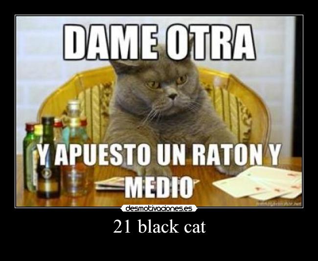 21 black cat - 