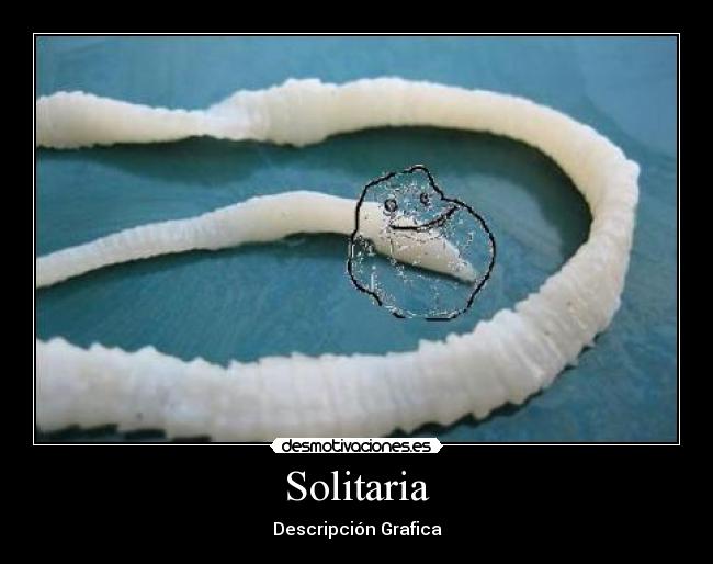 Solitaria - 