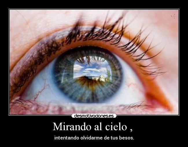 carteles shyak314 desmotivaciones