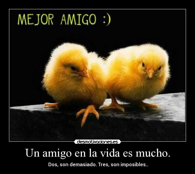 Un amigo en la vida es mucho. - 