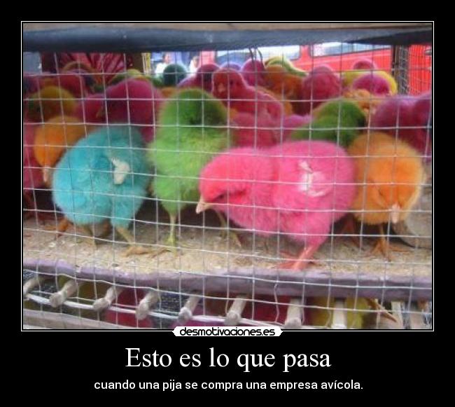 Esto es lo que pasa - 