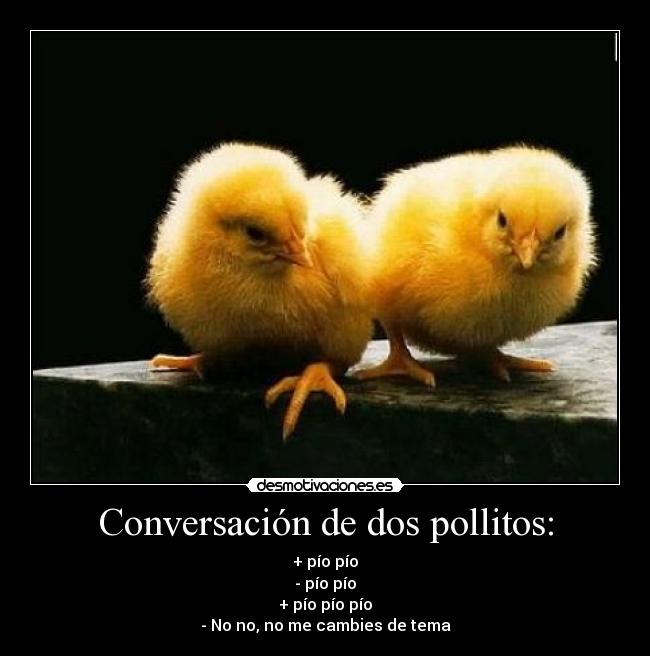 carteles pollitos desmotivaciones