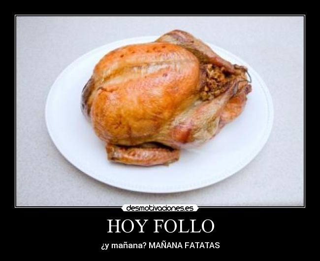 HOY FOLLO -