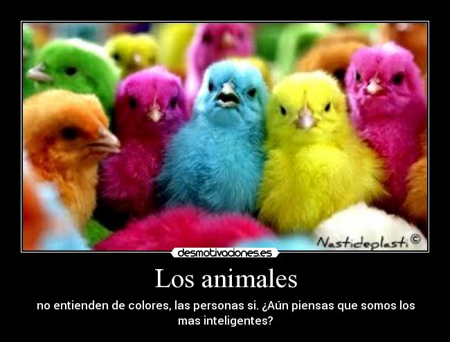 Los animales - 