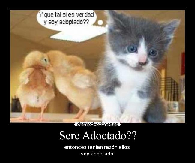 Sere Adoctado?? - entonces tenían razón ellos
soy adoptado