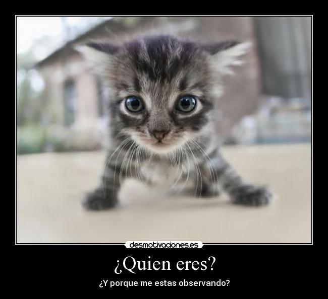 ¿Quien eres? - 