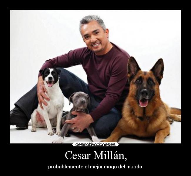 Cesar Millán, - 