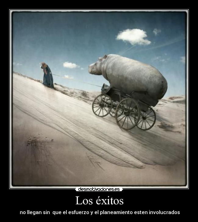 carteles exito desmotivaciones