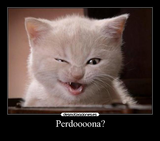 Perdoooona? -
