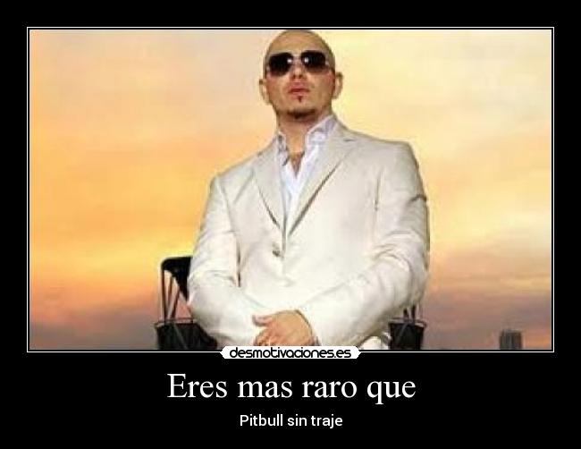 Eres mas raro que - Pitbull sin traje