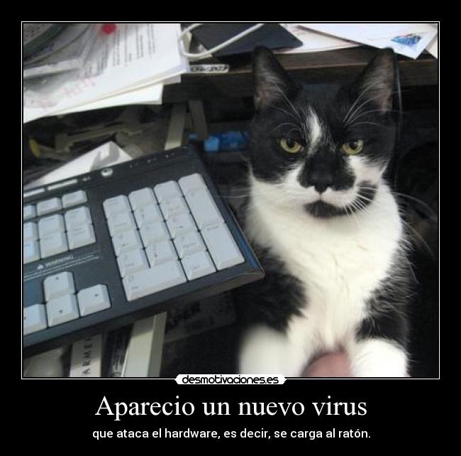 Aparecio un nuevo virus - que ataca el hardware, es decir, se carga al ratón.