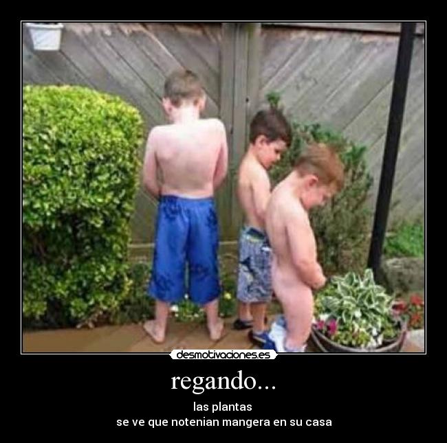 regando... - las plantas 
se ve que notenian mangera en su casa