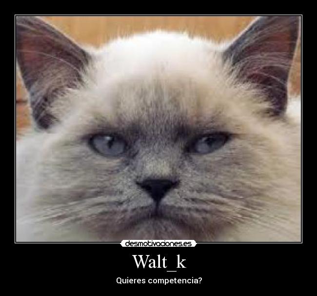Walt_k -