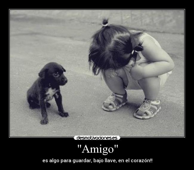 Amigo - 
