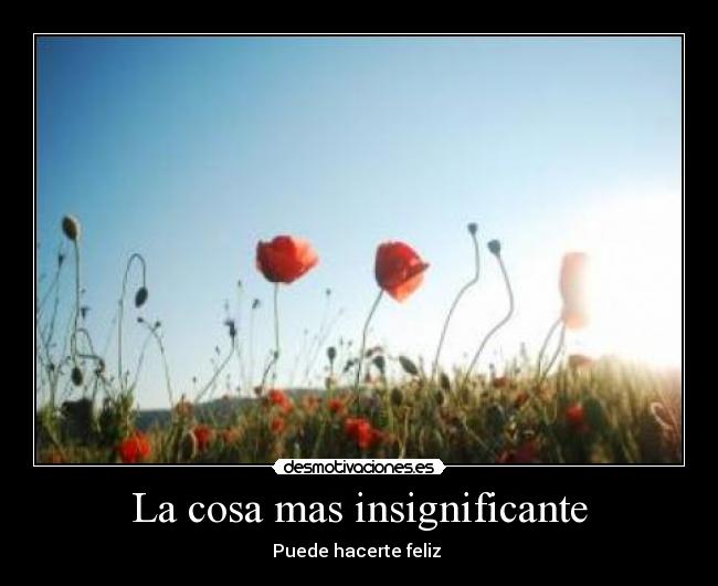 La cosa mas insignificante - Puede hacerte feliz