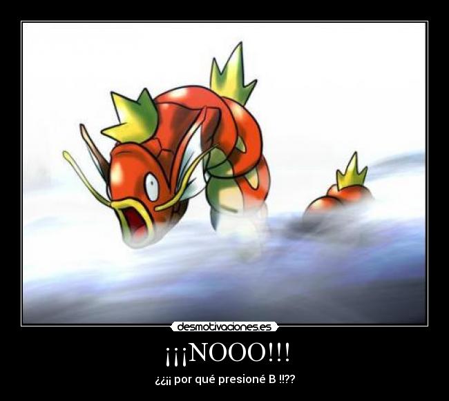 ¡¡¡NOOO!!! - 