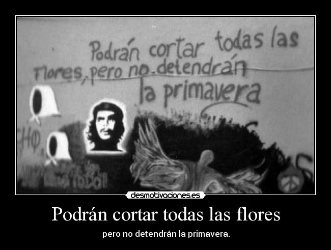Podrán cortar todas las flores -