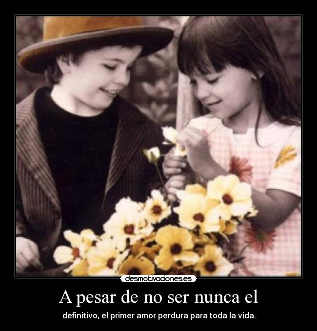 carteles primer amor desmotivaciones