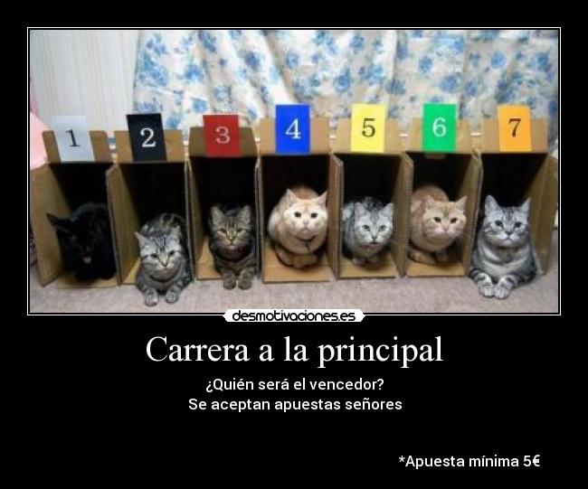 Carrera a la principal - ¿Quién será el vencedor?
Se aceptan apuestas señores
*Apuesta mínima 5€