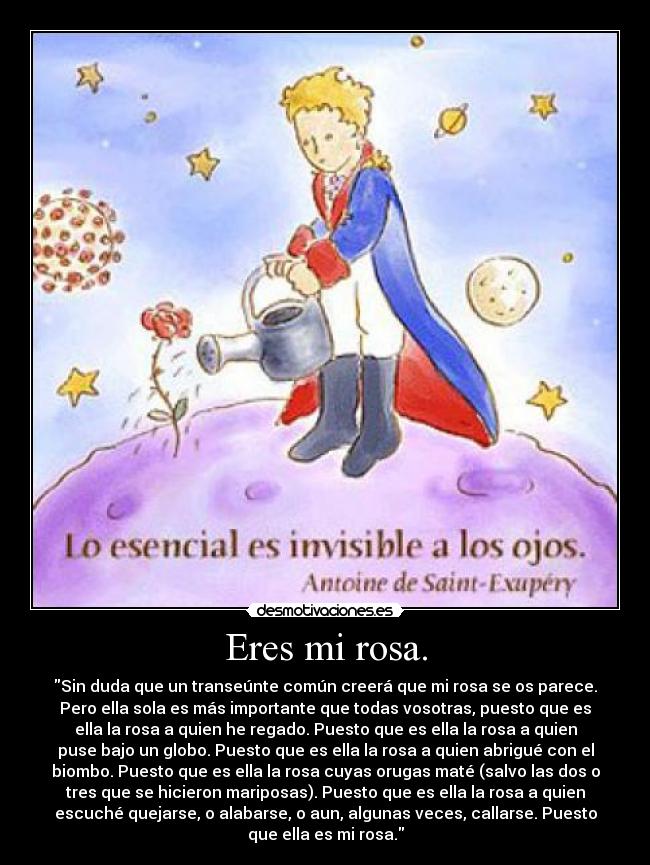 Eres mi rosa. -