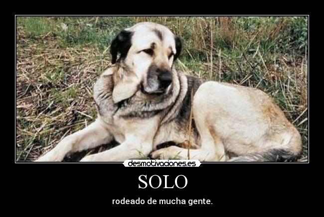 SOLO - rodeado de mucha gente.