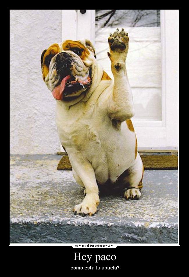 Hey paco - como esta tu abuela?