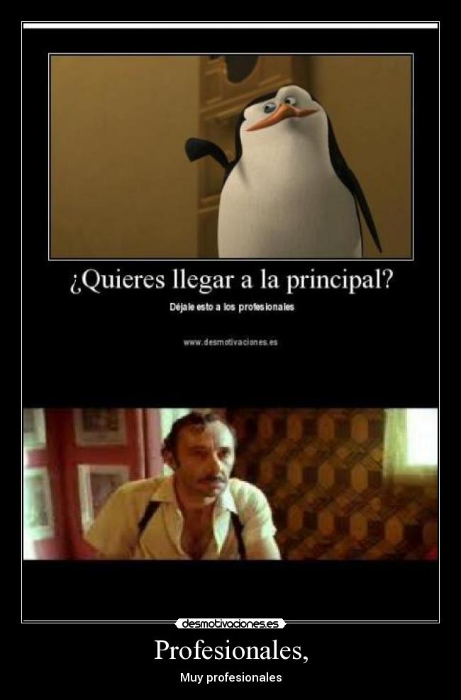 Profesionales, - Muy profesionales