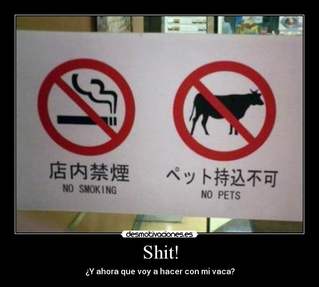 Shit! - ¿Y ahora que voy a hacer con mi vaca?