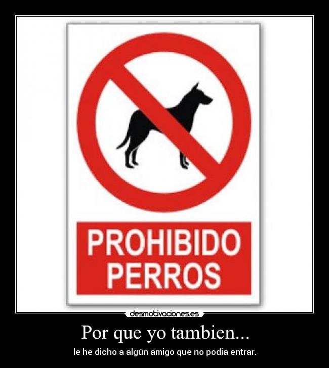 Por que yo tambien... - le he dicho a algún amigo que no podia entrar.