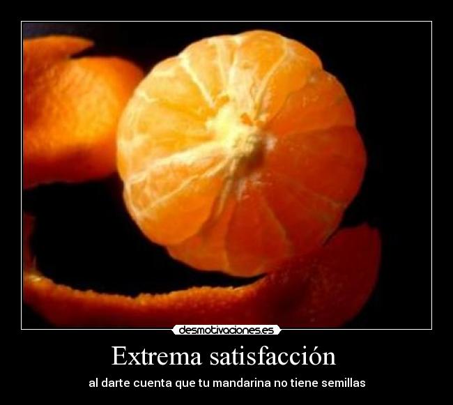 Extrema satisfacción  - 