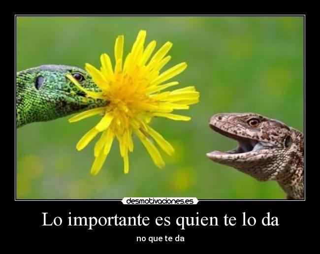 Lo importante es quien te lo da - 