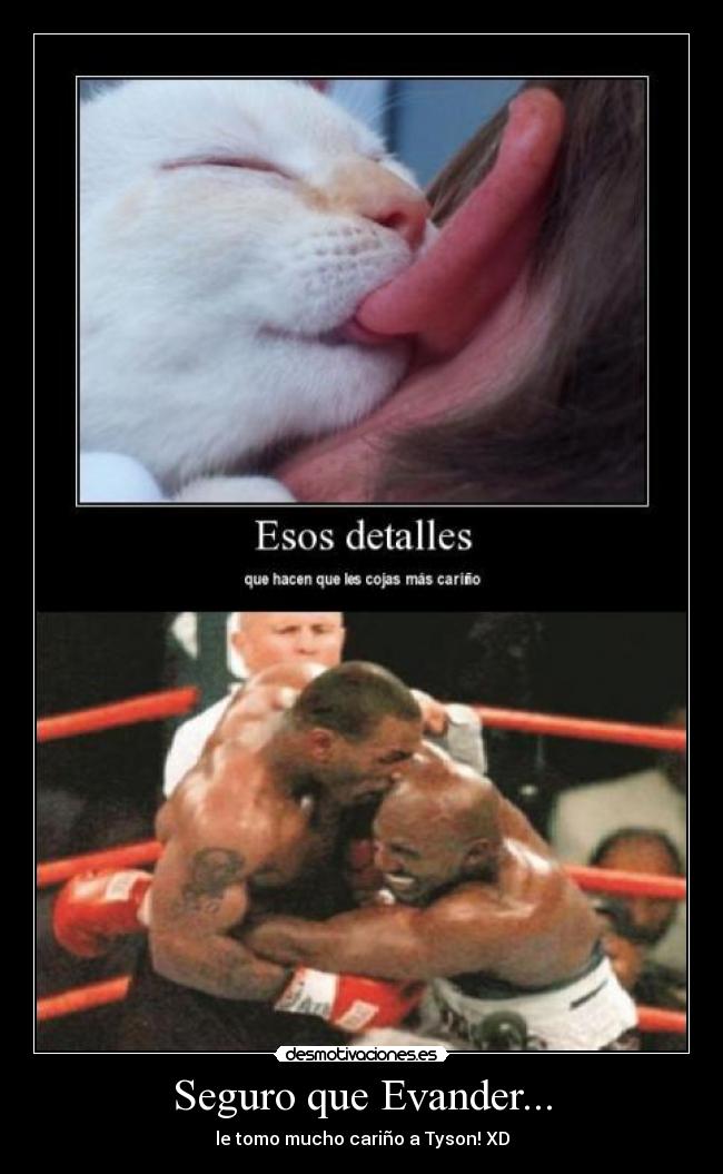 Seguro que Evander... -