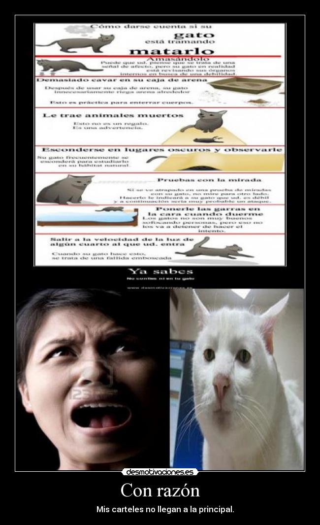 Con razón - Mis carteles no llegan a la principal.