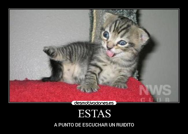 ESTAS - A PUNTO DE ESCUCHAR UN RUIDITO