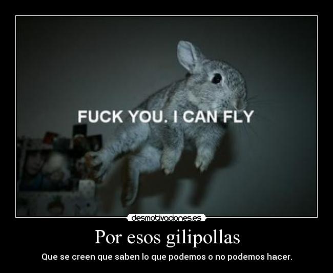 carteles nada seguro todo posible desmotivaciones