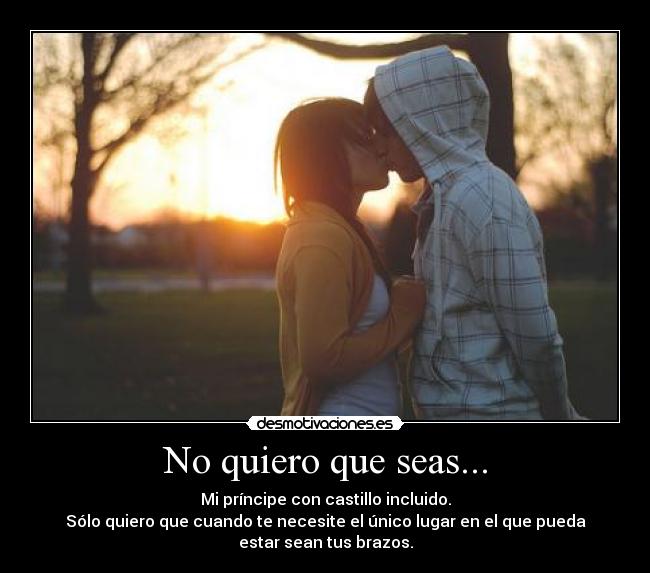 No quiero que seas... - Mi príncipe con castillo incluido.
Sólo quiero que cuando te necesite el único lugar en el que pueda
estar sean tus brazos.