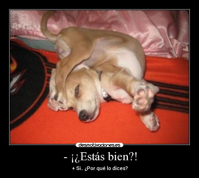 - ¡¿Estás bien?! -