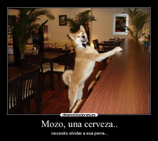 Mozo, una cerveza.. -