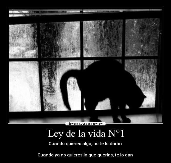 Ley de la vida N°1 -