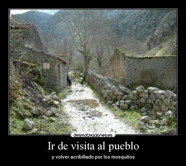 Ir de visita al pueblo - y volver acribillado por los mosquitos