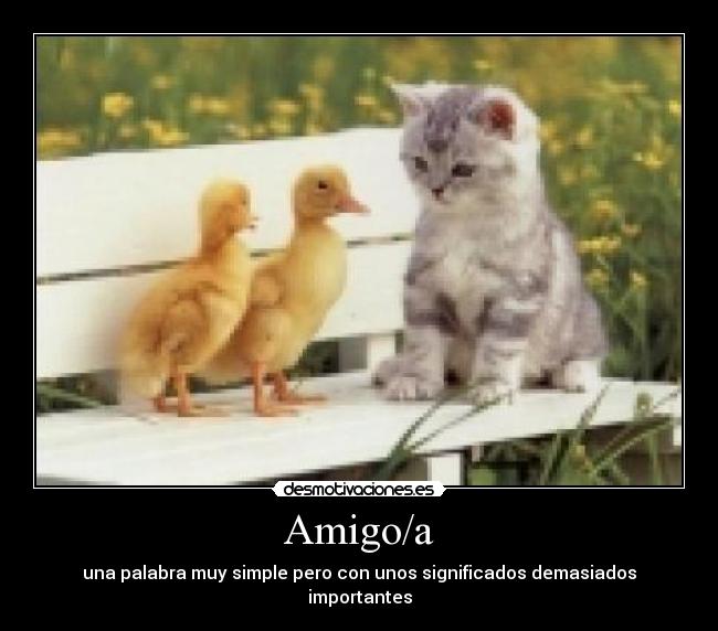 Amigo/a - 