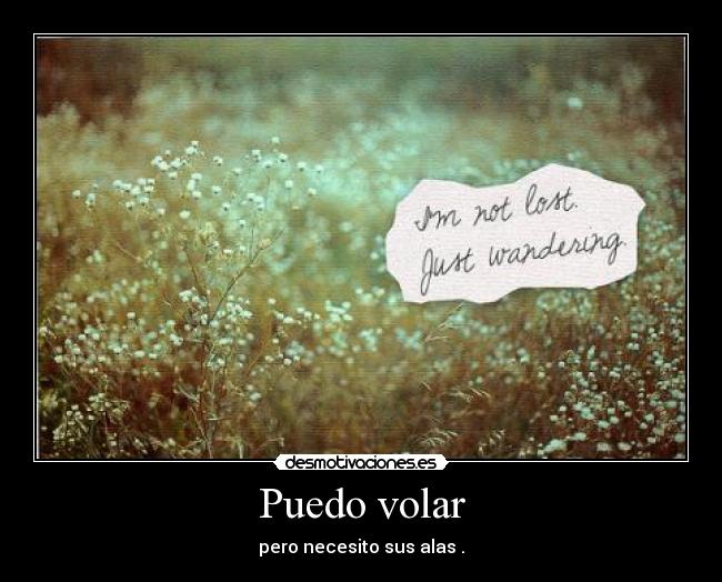 Puedo volar - 