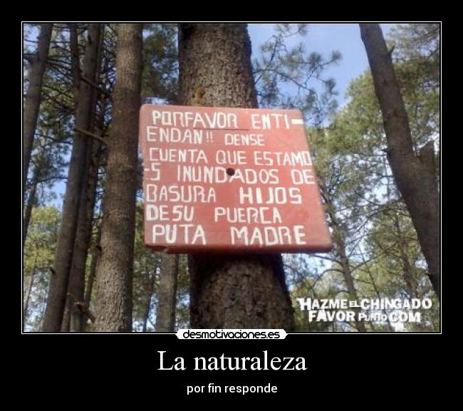 La naturaleza - por fin responde