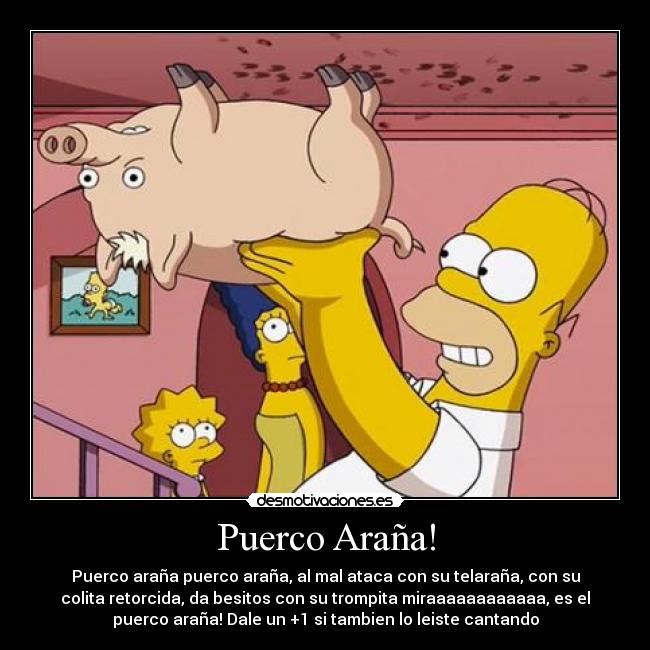 Puerco Araña! - Puerco araña puerco araña, al mal ataca con su telaraña, con su
colita retorcida, da besitos con su trompita miraaaaaaaaaaaa, es el
puerco araña! Dale un +1 si tambien lo leiste cantando