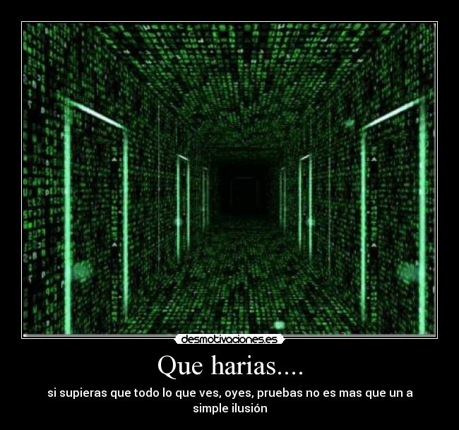 Que harias.... - si supieras que todo lo que ves, oyes, pruebas no es mas que un a simple ilusión