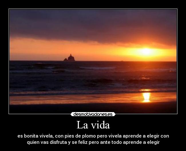 La vida -
